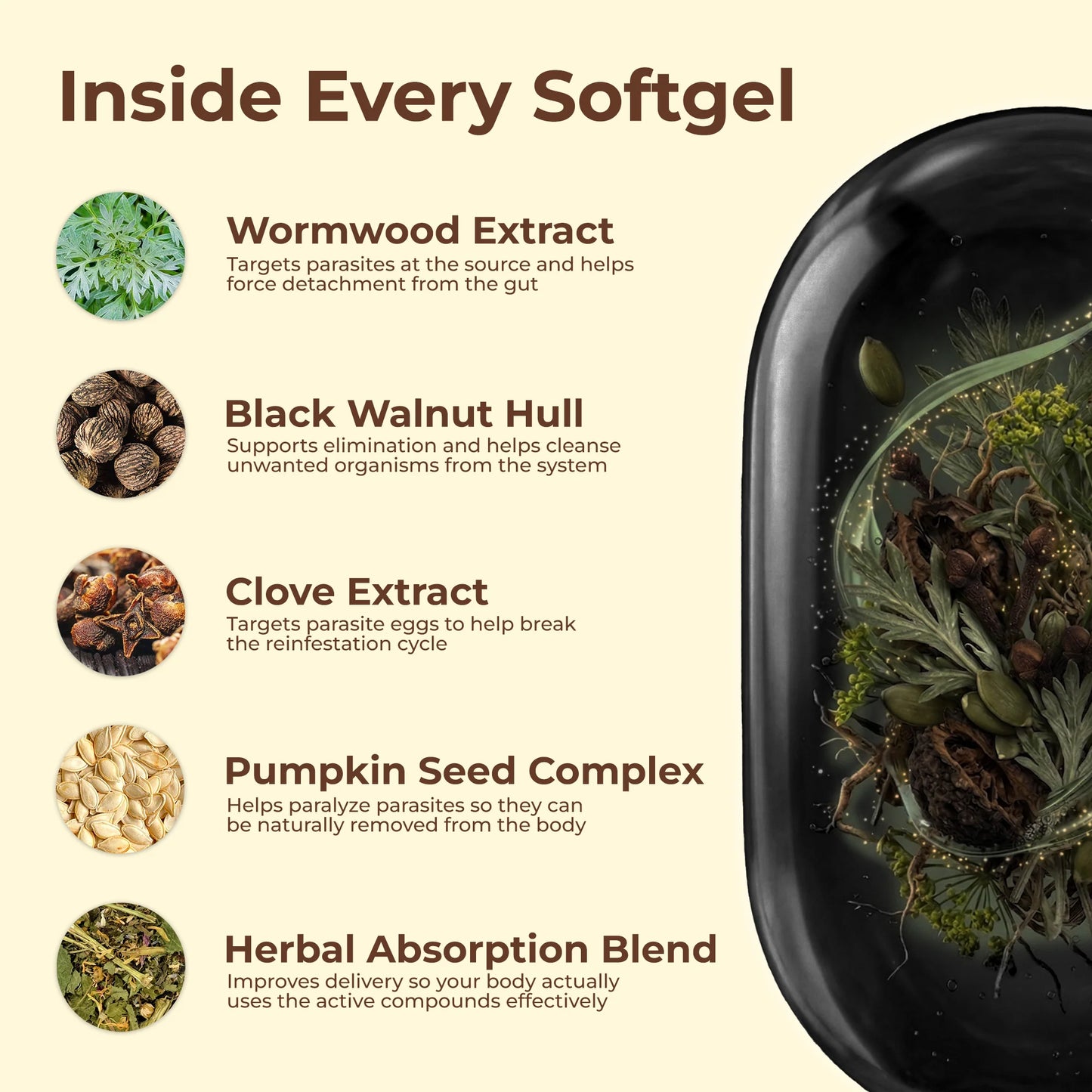 Flush Out Hidden Parasites & Larva in Just 14 Days with Wormwood Black Walnut Cloves